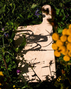 Wooden board on grass with shadow, surrounded by flowers